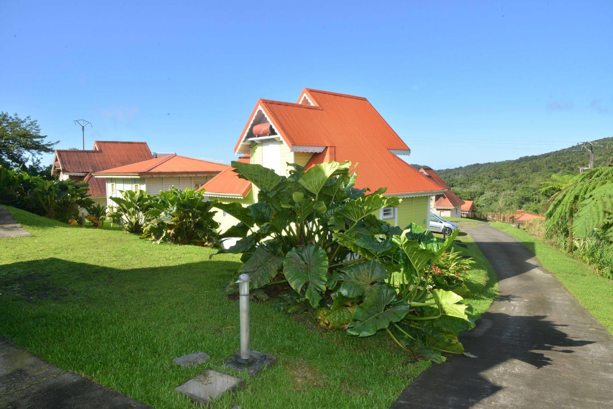Auberge De La Montagne Pelee Hotel Saint-Pierre Dış mekan fotoğraf