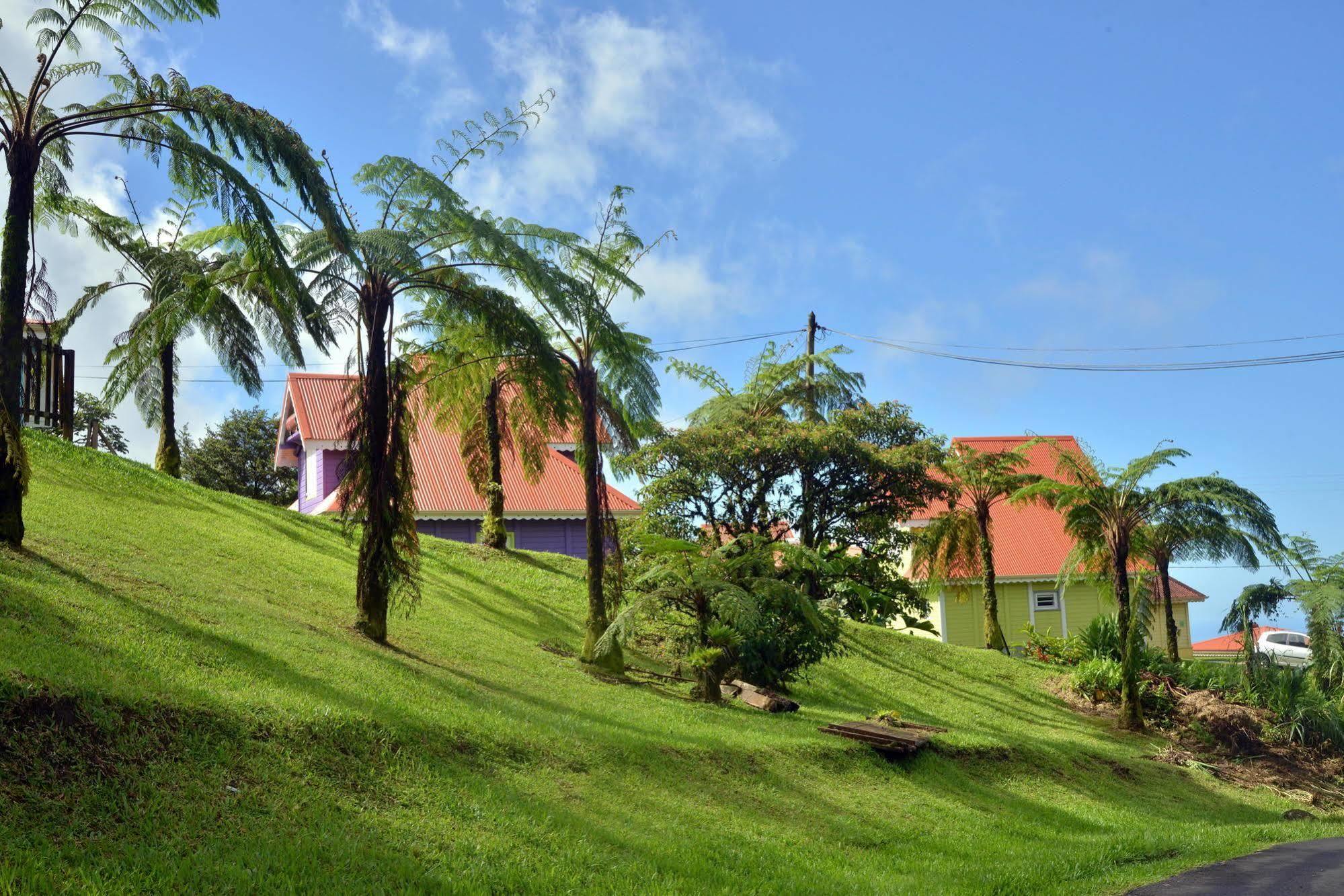 Auberge De La Montagne Pelee Hotel Saint-Pierre Dış mekan fotoğraf